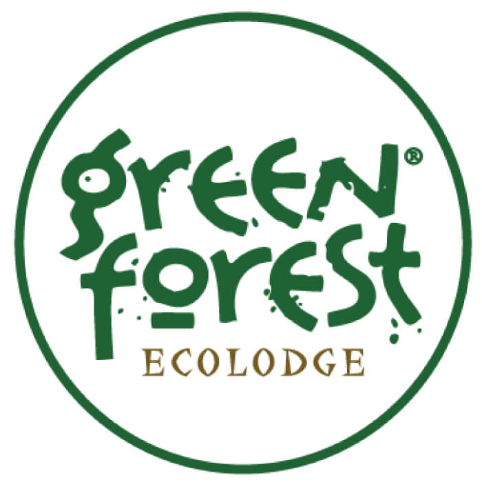 SEO y diseno web para Green Forest Ecolodge, logramos obtener el primer lugar en busquedas como Lodge en cuyabeno o tours en Cuyabeno